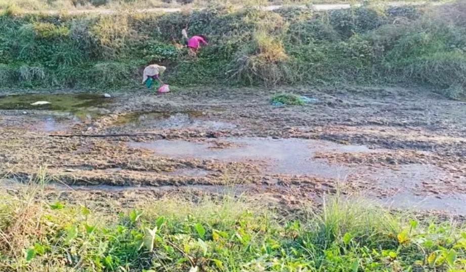 Uttar Pradesh : सात महीने से नहीं आई नहर, 50 गांवों की सूख रही फसल!
