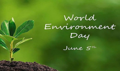 5 June को दुनियाभर में मनाया जाता है विश्व पर्यावरण दिवस, जानें इसका इतिहास और महत्व