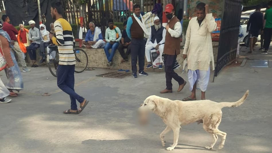 Lucknow: KGMU में दिखा अमानवीय कृत्य, मानवता हुई शर्मसार