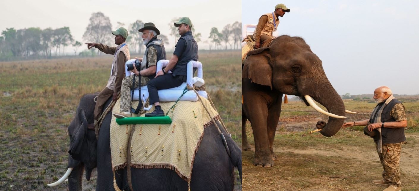 PM Modi in Assam: जीप पर सैर, हाथी की सवारी, काजीरंगा नेशनल पार्क की खूबसूरती को कैमरे में कैद करते दिखे PM मोदी