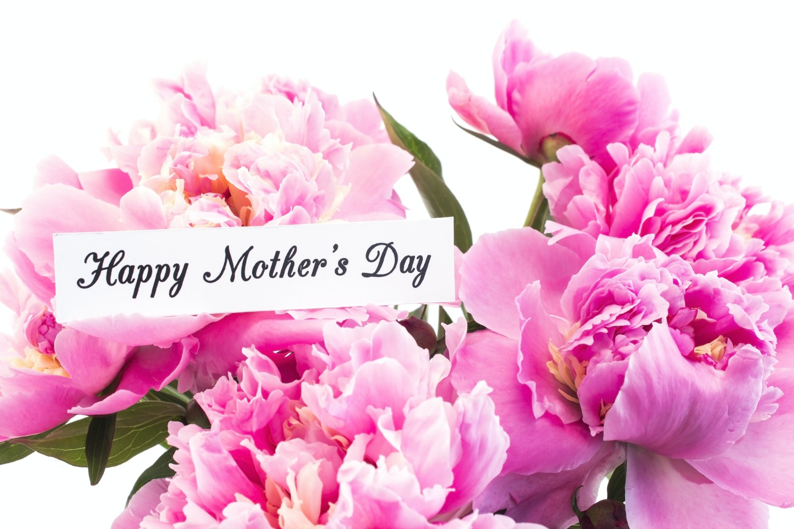 Mother’s Day: मई के दूसरे रविवार को क्यों मनाया जाता है Mother’s Day ? जानें कैसे हुई शुरुआत?